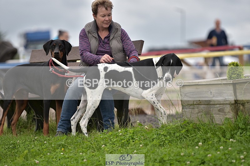 230801B-171720-00561 - 70cm