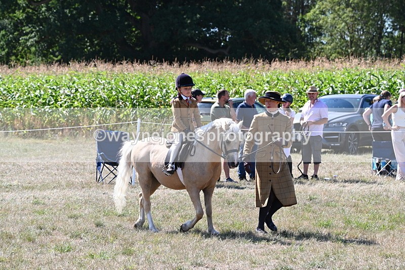 WJ6_8044 - Class 36 Lead Rein