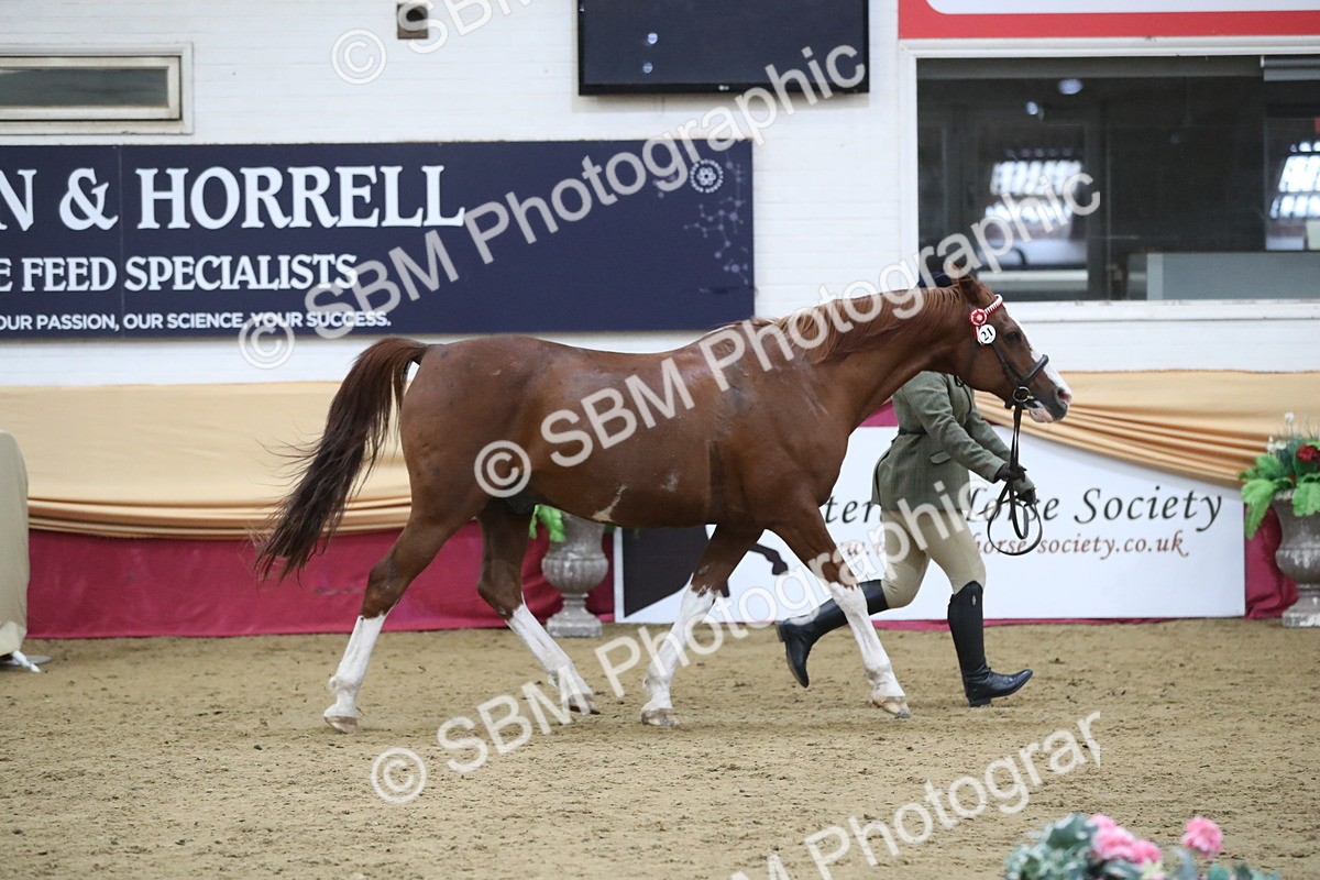 SBM_08458 - Class 11R Regional Ridden Veteran