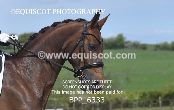 BPP_6333 - 33 N BAXTER
