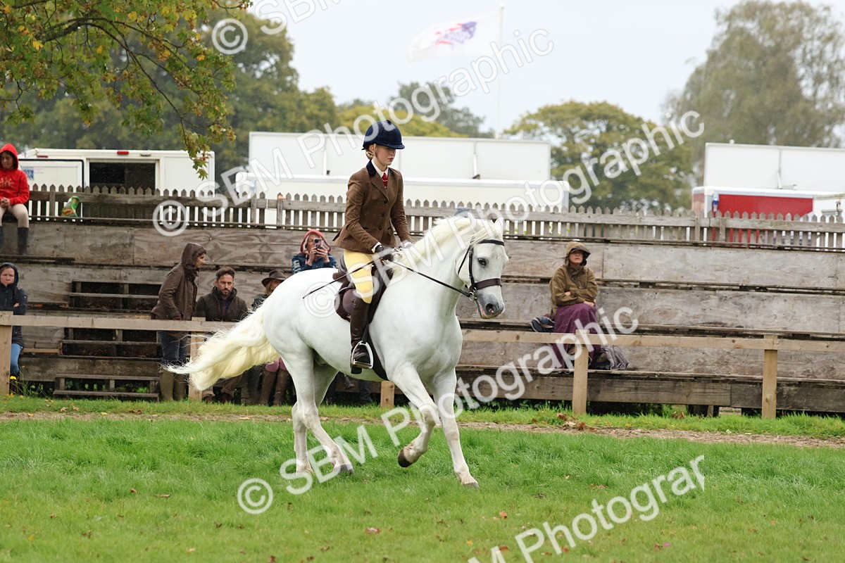 SBM_69688 - S62 - Mountain & Moorland Ridden Large Breeds