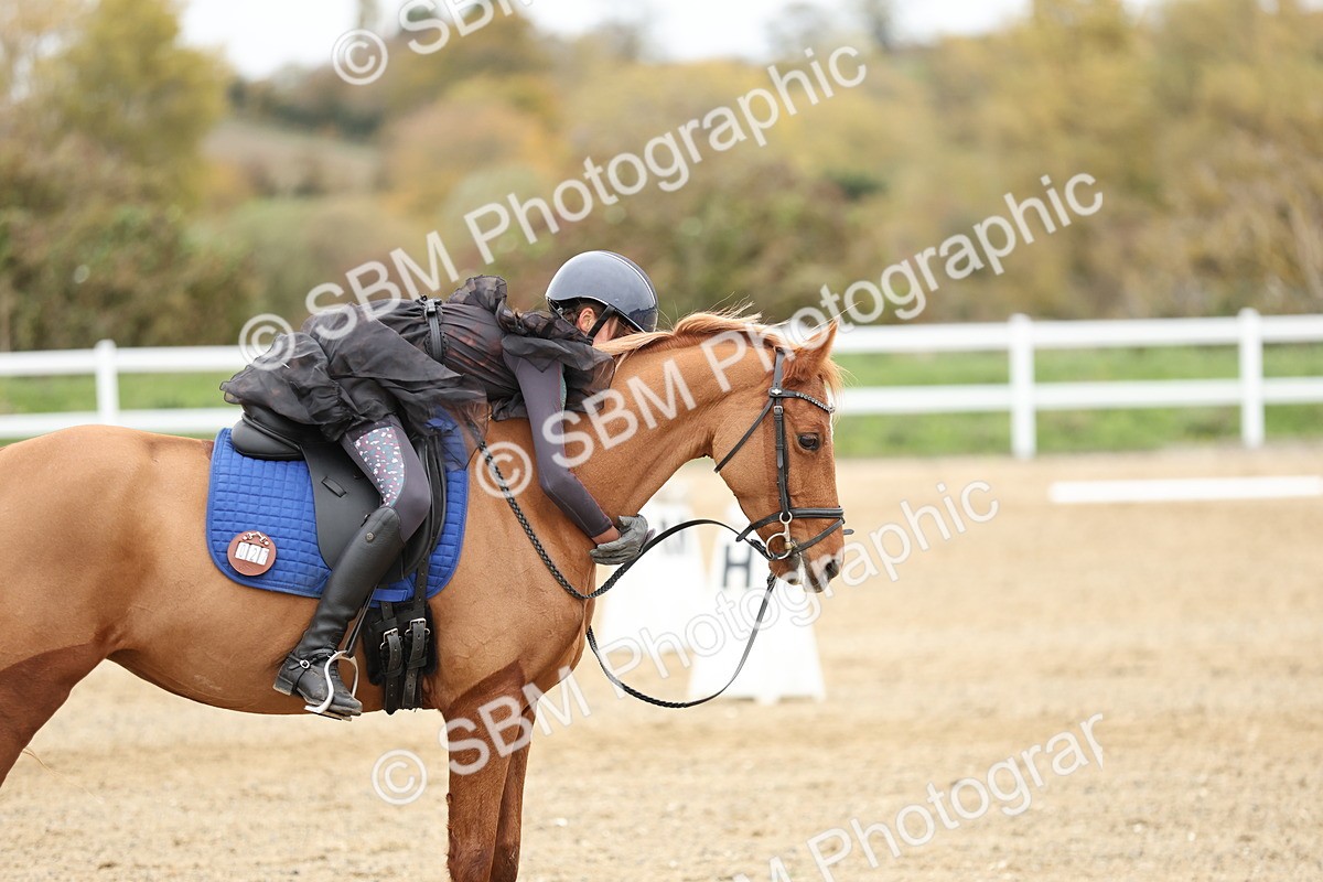 SBM_003892 - Class 9-12 - Novice 2 Elementary 3