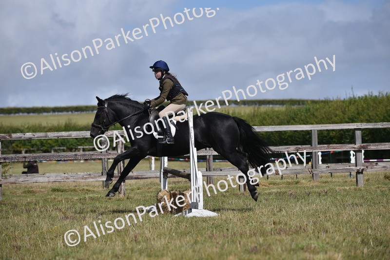 20250831-3982 - Class 12 - Working Hunter Pony 14.2hh and Under