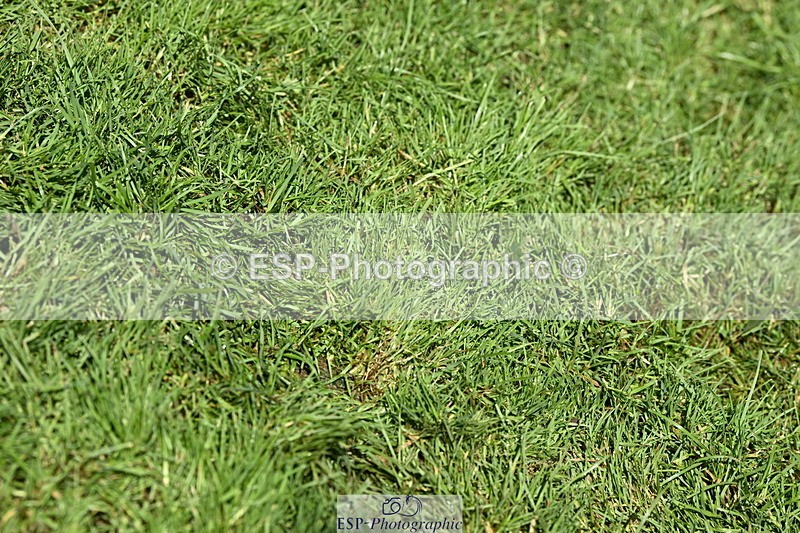 250831A-150151-10770 - Cls 38 5 Year Old Final