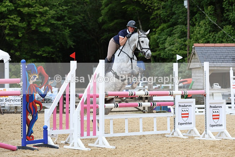 3E7A7566 - Class 8: Senior Foxhunter/1.20 open