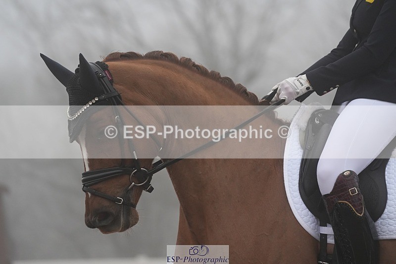 260215-100717-04556 - 015-Sofia.Games