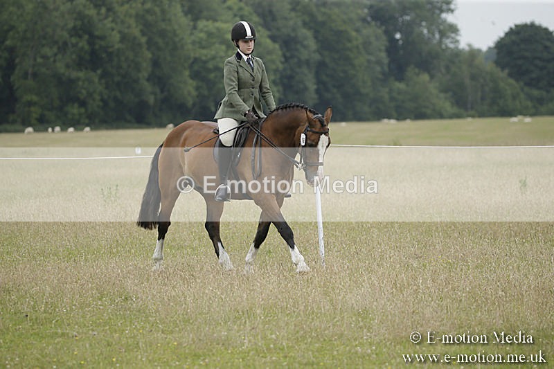 B230619-0308 - Bourne Valley Riding Club Summer Show 23/06/19