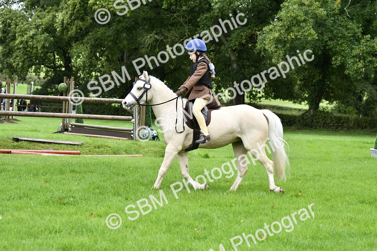 SBM_35459 - S30 - Nursery Stakes Working Hunter Pony