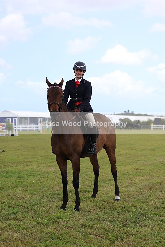 3E7A2401 - Class 11: Retraining of Racehorse