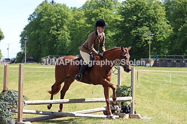 IMG_3764 - Working Hunter