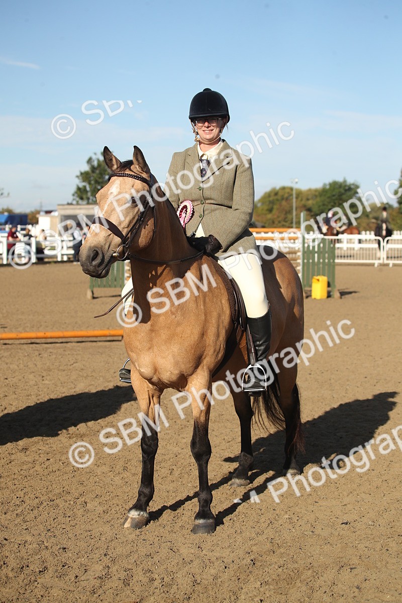 SBM_11593 - Class 502 - Riding Club Horse
