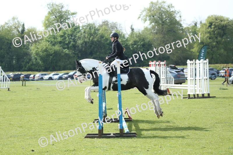 20260426-1459 - Class 14 - Novice 60cm