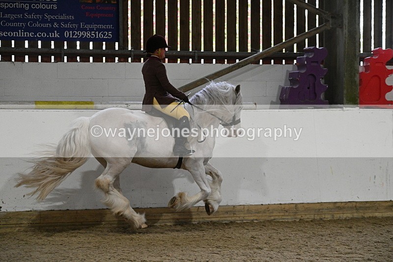 WJ7_4253 - Class 17 Ridden Cob