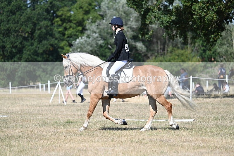 WJ7_0317 - Time 11:33 to 11:44