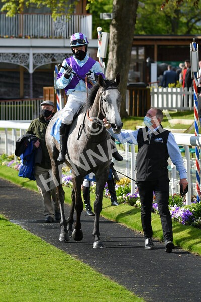 yr22052021r7-54 - Race 7 5.25pm Hudson Quarter York Palace Capital Stakes - Gentleman Amateur Riders Race