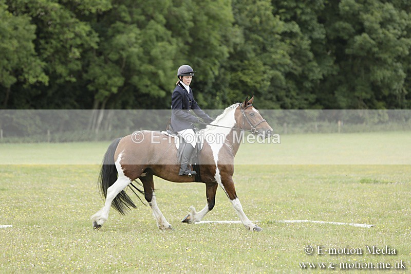 BVR160717-1374 - Class 3 Dressage 16/07/17