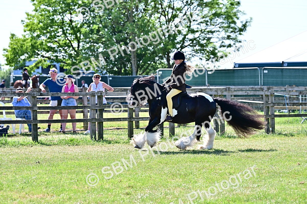 SBM_19408 - Class 101-102 - BSPS LIHS Performance Coloured Horse/Pony