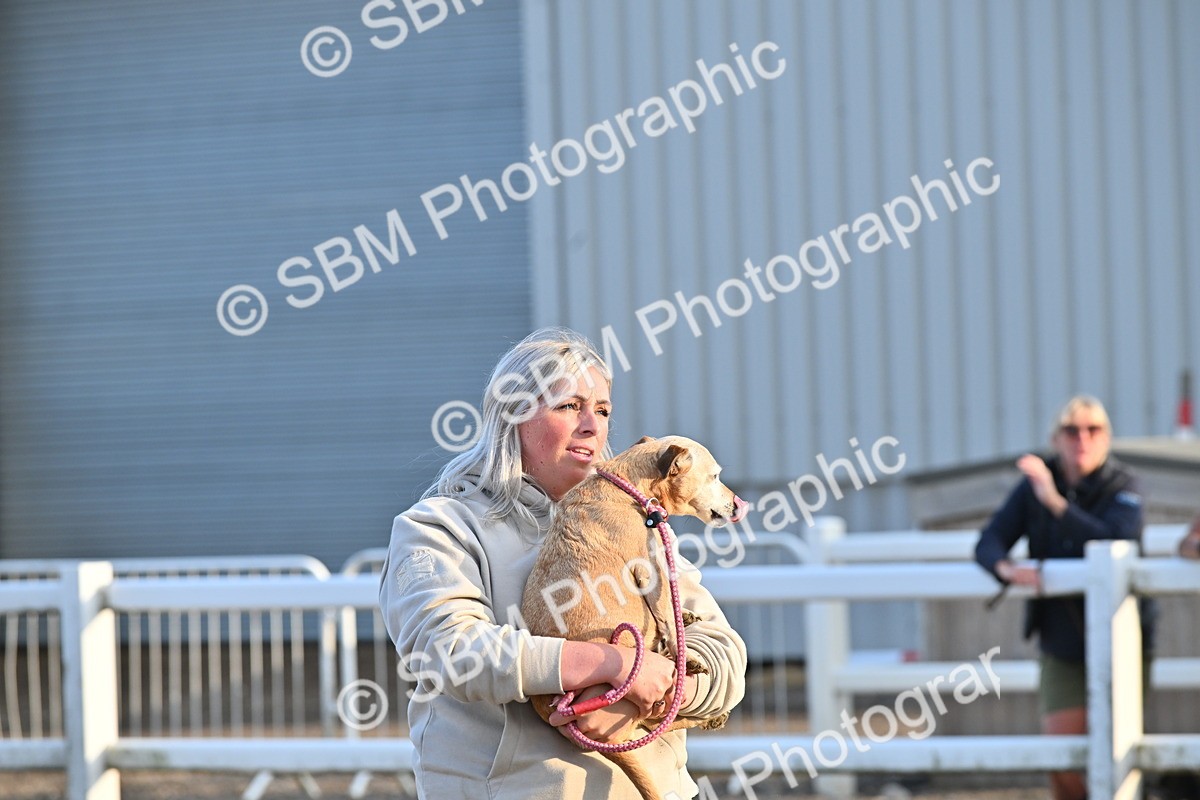 SBM_09498 - Lorry Dogs