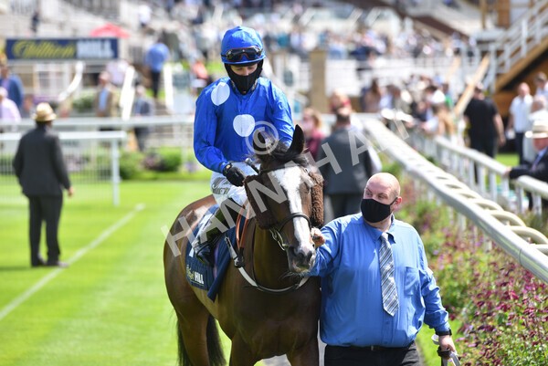 yr09072021r1-7 - Race 1: 2.05pm williamhill.com Best Odds Guaranteed Handicap Stakes