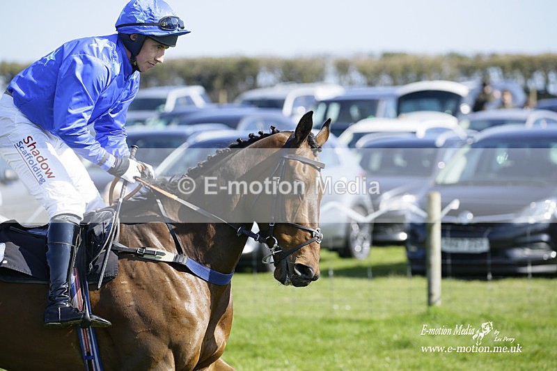 PtP 190322 189 - Wilton Hunt PtP Milborne St Andrew 19/03/22