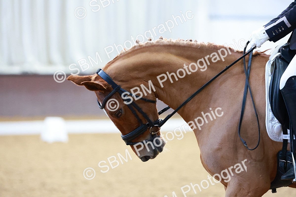 SBM_001139 - Class 12-13 - Prelim 5-Prelim 6