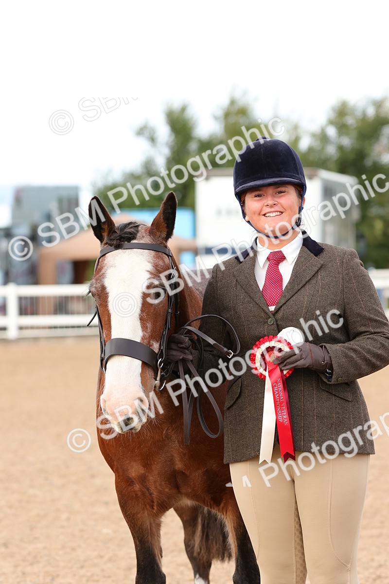 SBM_10341 - Class 206 - IH Non Show Type Pony