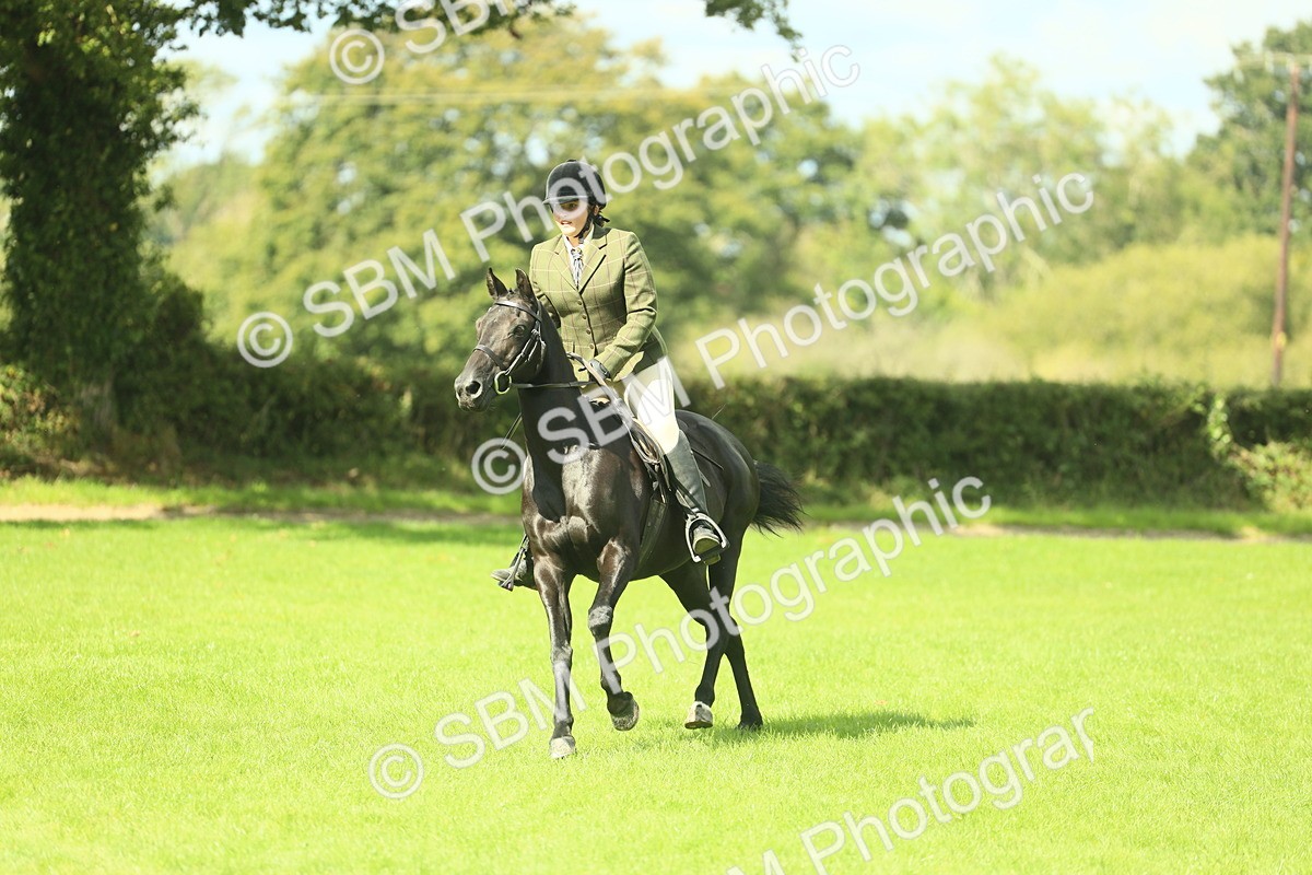 SBM_42073 - S29 - Novice & Newcomers Working Hunter Pony