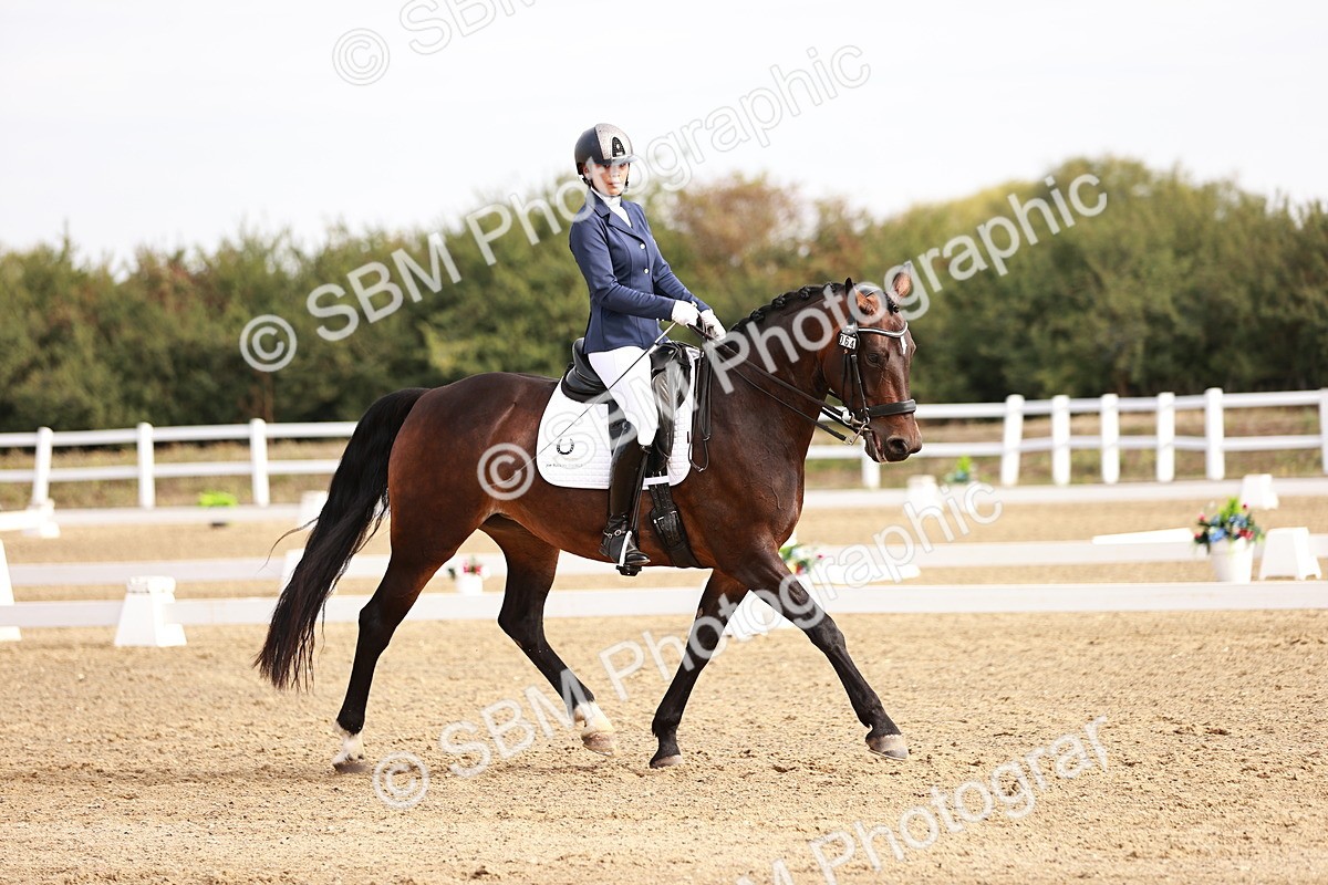 SBM_016927 - Class 10 - Medium 6