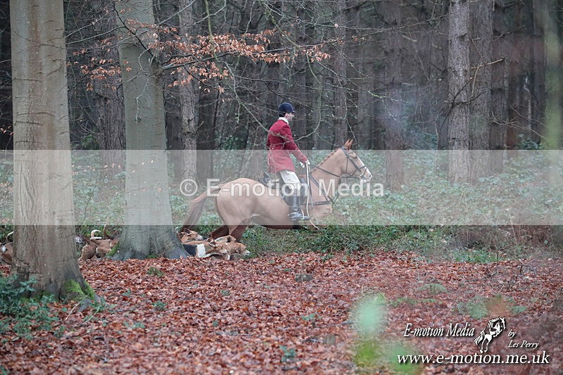 HUPY 261224 71 - Pytchley with Woodland Hunt Boxing Day Meet 26th December 2024