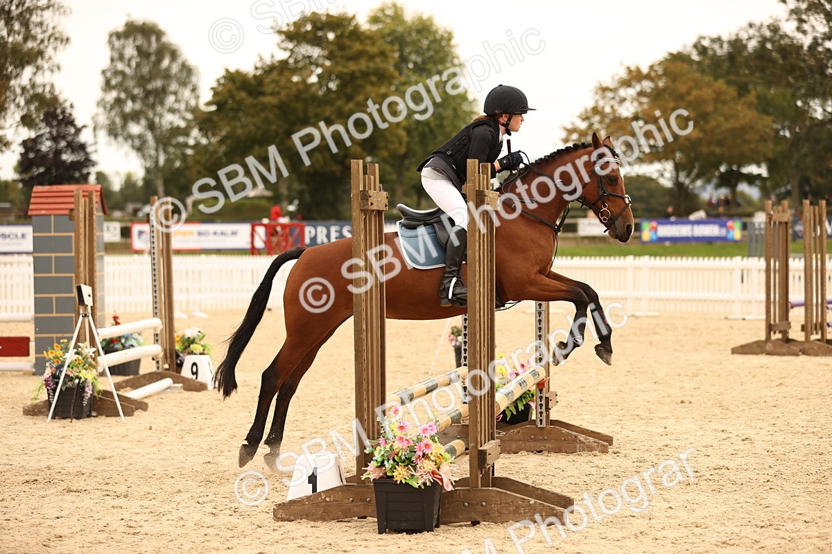 SBM_72559 - J14 - Junior Pony 65cm Championship