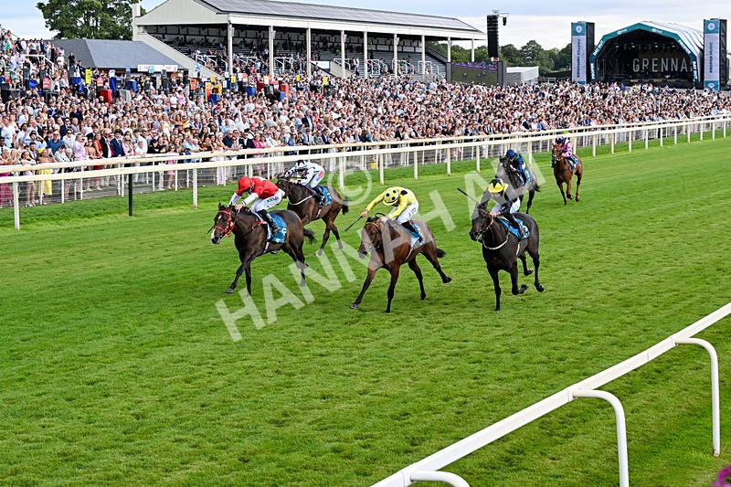 250726-Race 5-Rogue Jewel-1080 - Race 5 15.42pm Sky Bet Price Boosts EBF Fillies' Novice Stakes