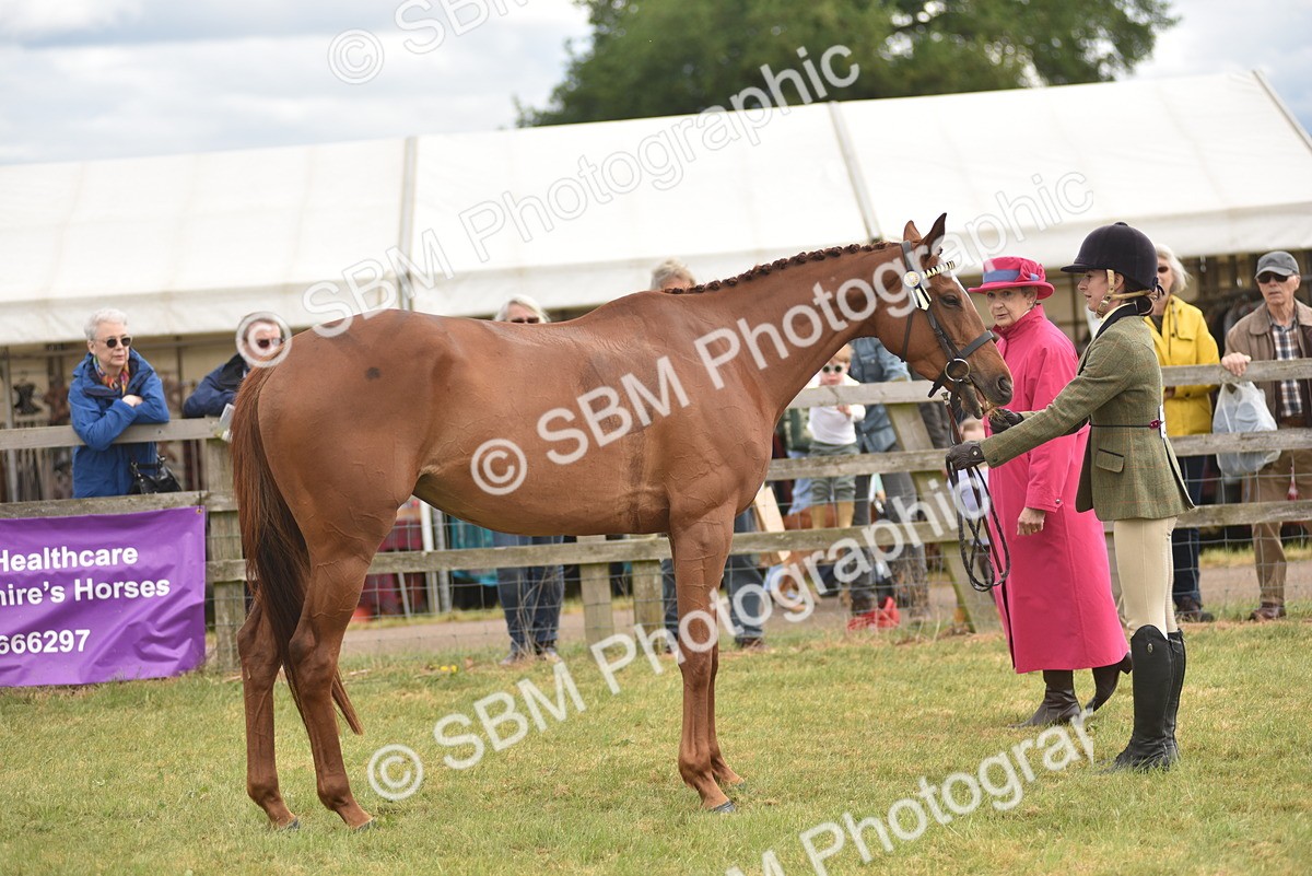 SBM_15120 - Class 113-114 - Retraining of Racehorses Ridden