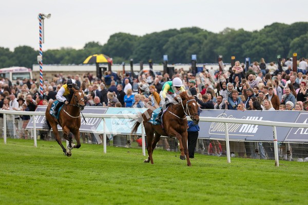 250524-Race 6-Primo Lara-3273 - Race 6 4.30pm Royal Yorkshire Regiment Handicap