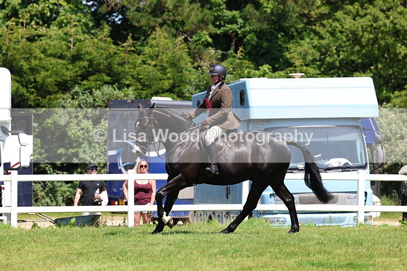 3E7A7434 - Class 30: Novice Working Hunter