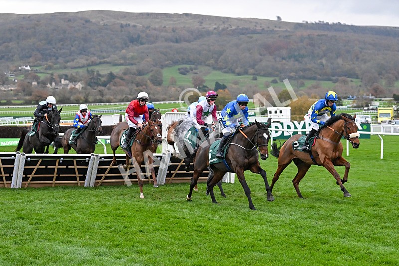 161124-Race 6-Koori Star-1427 - Race 6