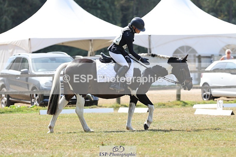 250823A-124755-29897 - Arena C