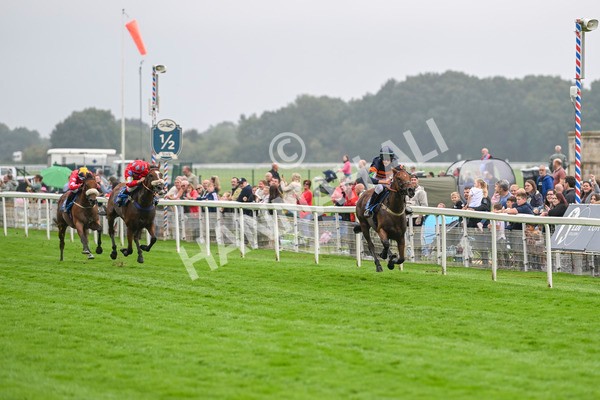 080924-Pony Race-8472 - Pony Race 1.00pm The Dragon (TV and Film) Studios Pony Race 148cm & Under