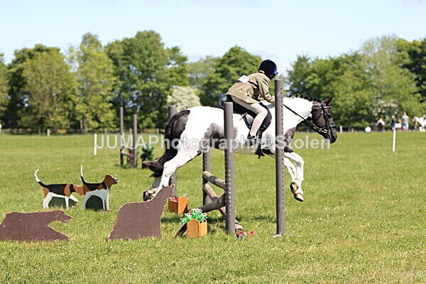 IMG_3809 - Working Hunter