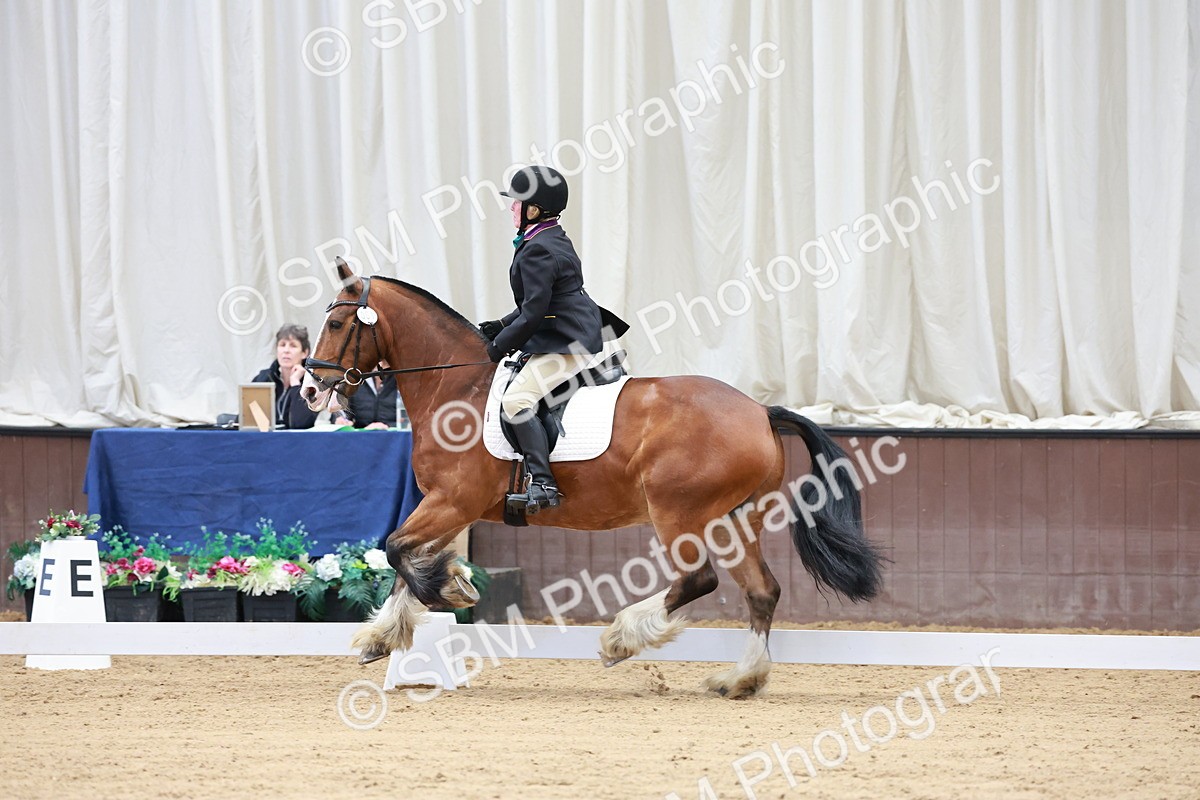 SBM_008109 - Class 6b - Novice 6 - 9.28-10.41