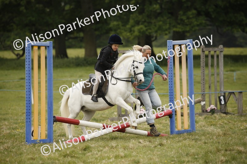 20250517-0284 - Class 1 - 30cm On Lead Rein