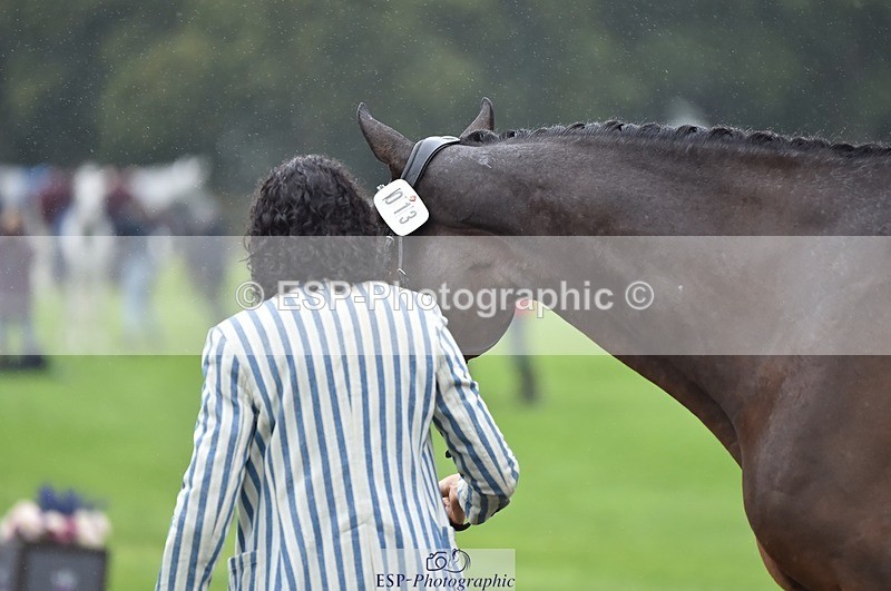 231018-121042-00121 - 013-CRIME.SCENE-Alexandra.Heard-TrotUp