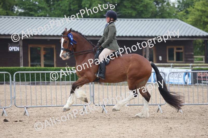 20260504-1187 - Class 14 - Cob and Hunter