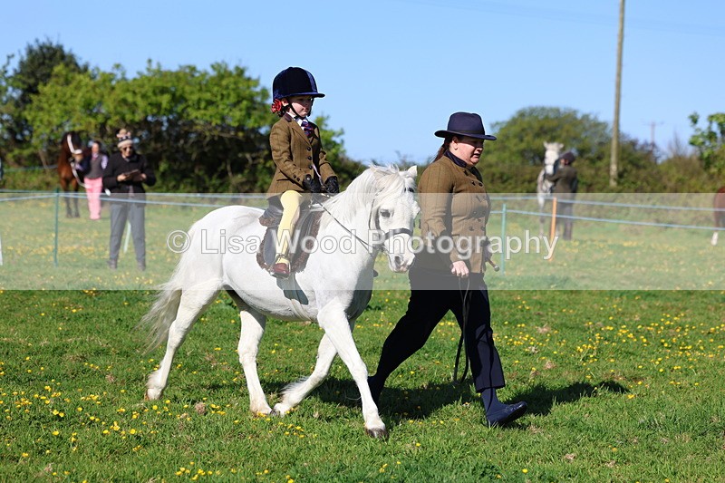 3E7A8710 - Class 2: Lead rein