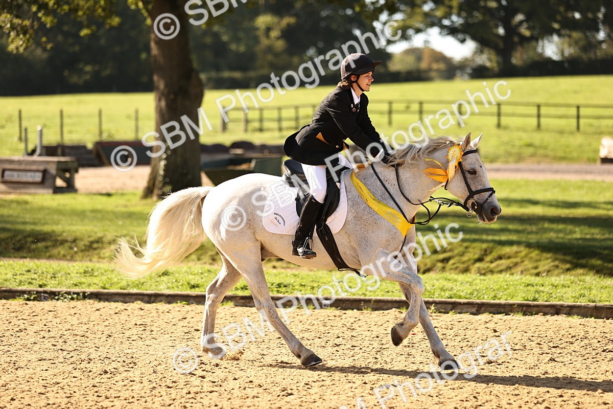 SBM_35252_J38 - Senior 80cm Championship - Michaela