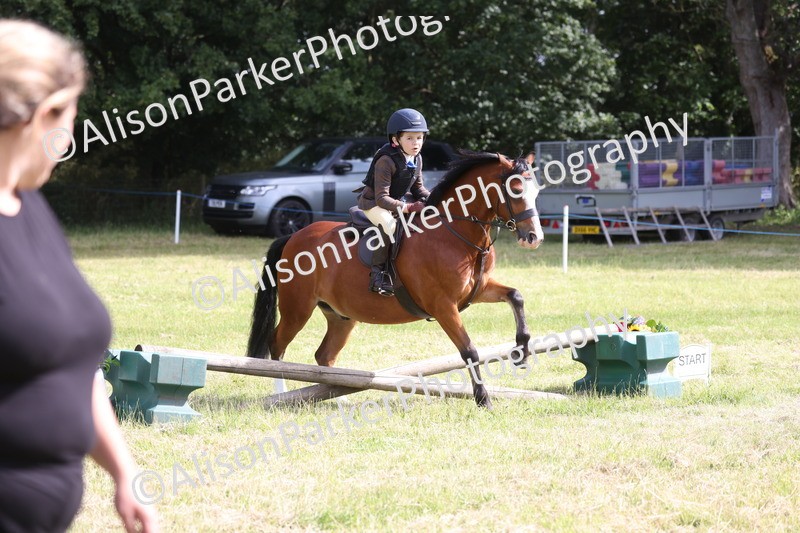 20260614-0476 - Class 20 - Beginners Working Hunter Pony