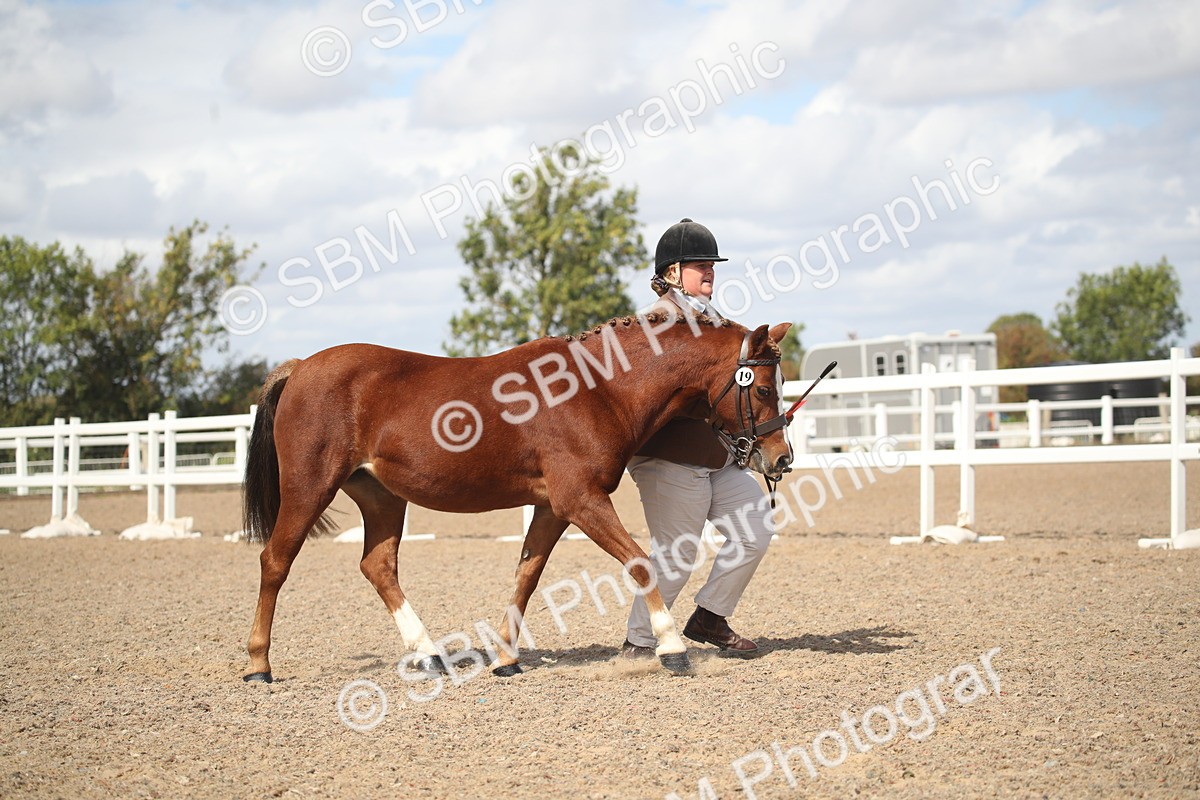 SBM_23183 - Class 606 - 2026 - Area - IH Pre Vet