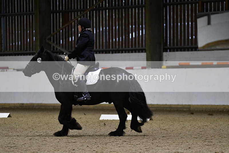 WJ5_8531 - Class 5 Novice Test 3