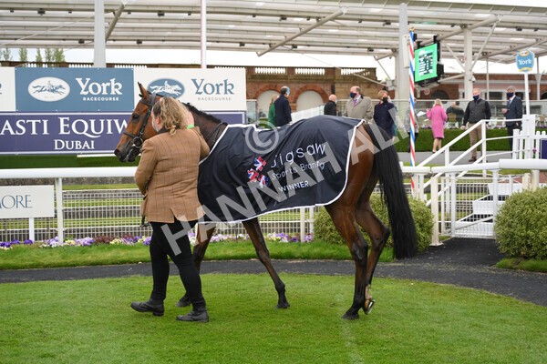 yr14052021r5-53 - Race 5 3.40pm The Jigsaw Sports Branding Handicap