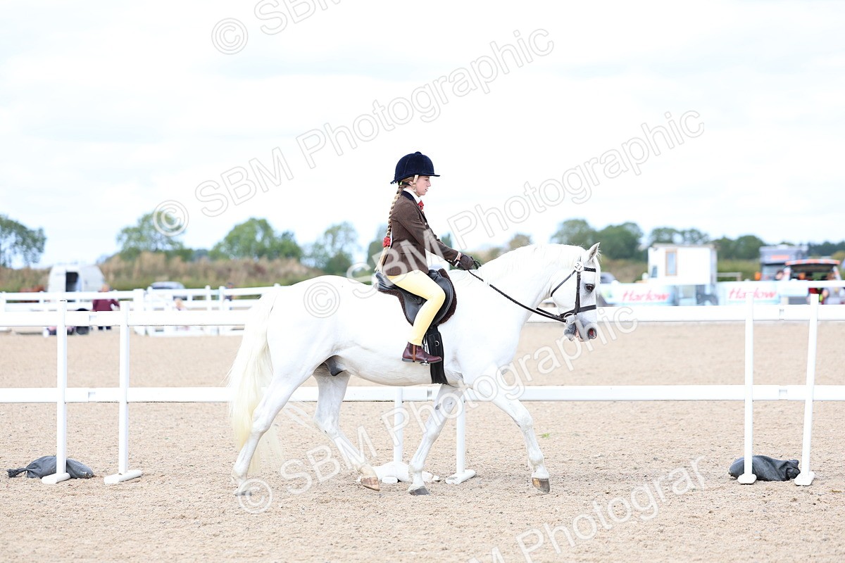 SBM_15760 - Class 314 - Family Horse - Pony