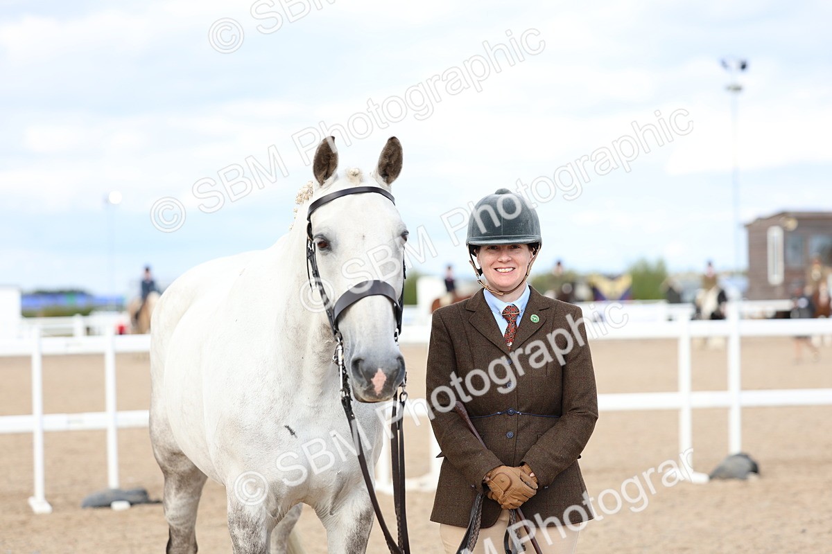 SBM_18749 - Class 317 - IH Pure Bred Horse-Pony